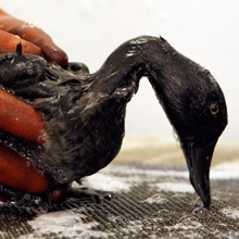 The Right Strategy for BP's Oil Leak Problems: Less Talk, More Action