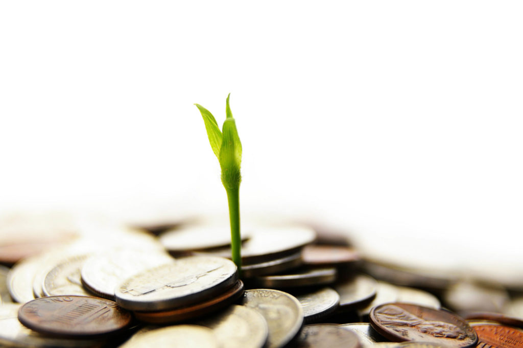 Return on investment everything-pr