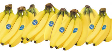 PR Success Stories: Chiquita Banana Press Release Campaign by Zenzi Communications