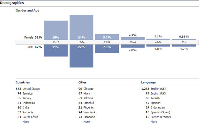 Facebook demographics for Everything PR
