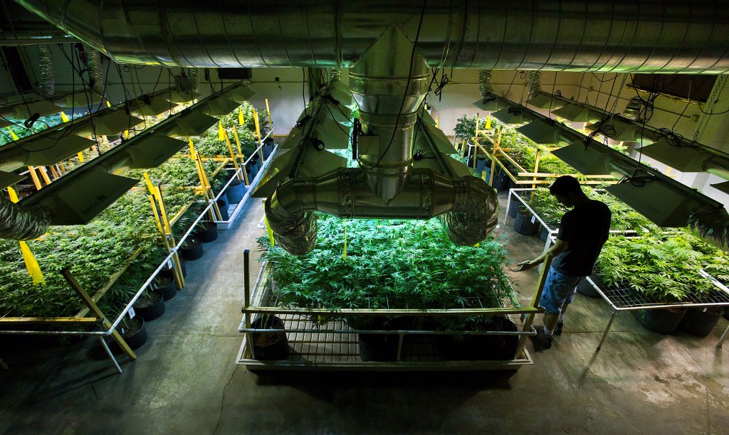 Colorado Medicinal Pot and Public Relations Commonality