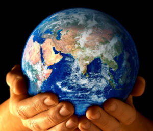 Social Media and Charities: Adding Dynamics to an Online Presence