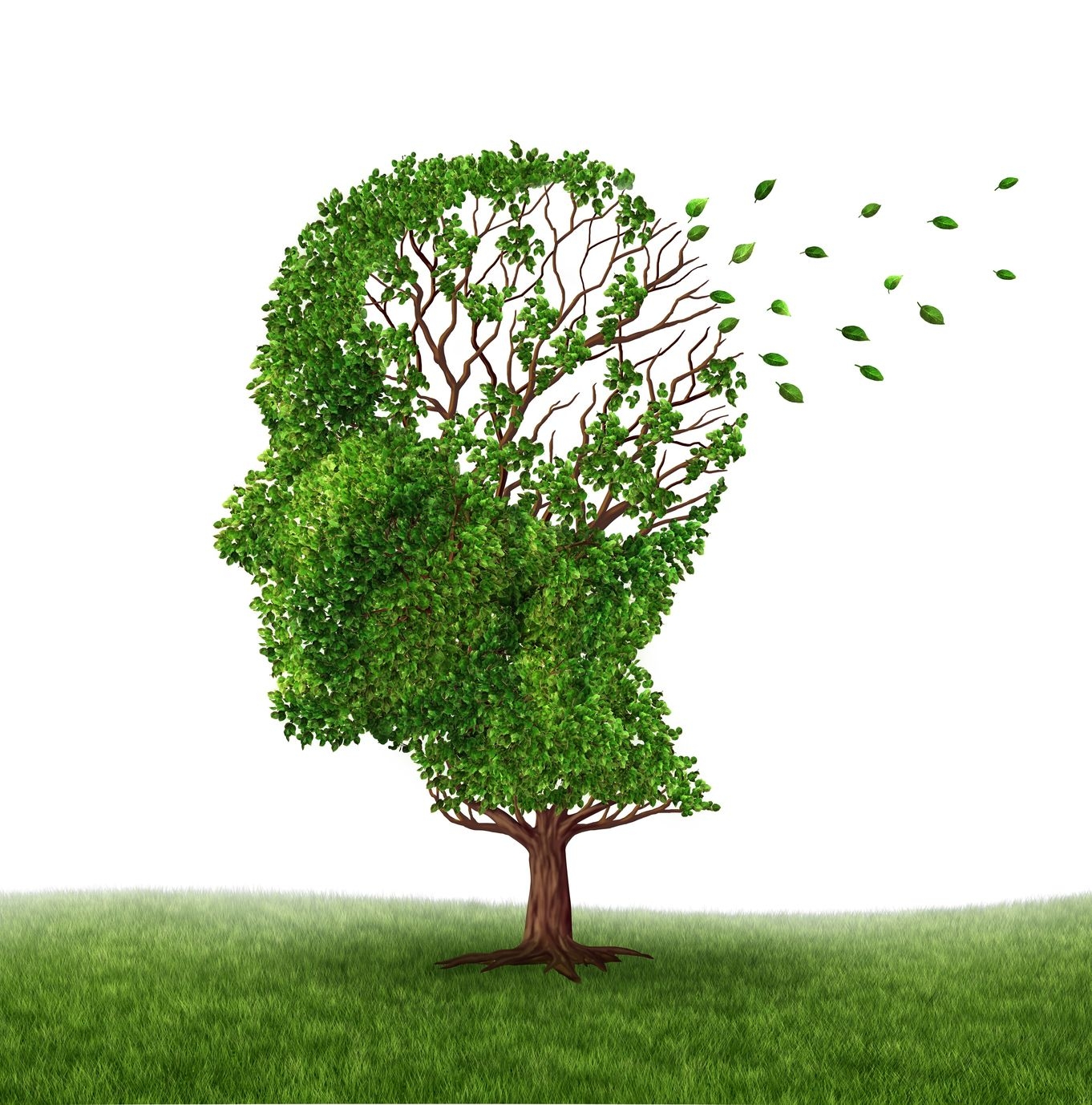 The Brain Tree Aims to Be Facebook for Research