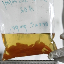 E.coli Scare Is a PR and Marketing Nightmare for Trader Joe's