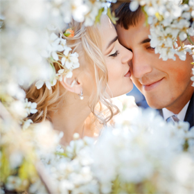 Wedding planner marketing