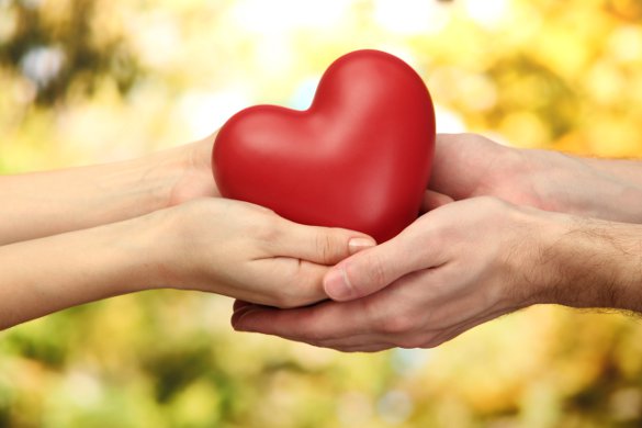 Non-Profit Communications: Elie Hirschfeld, D.A.R.E & More