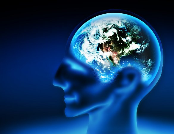 Brain