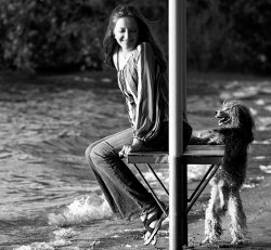 What did People buy for their Pet Dogs during the Pandemic?