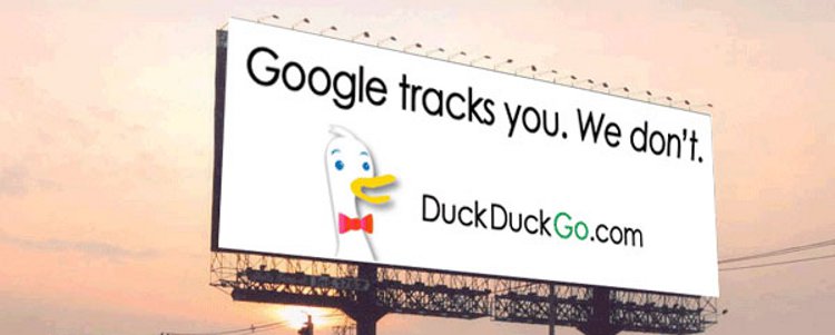 Where to Turn for Privacy in Search