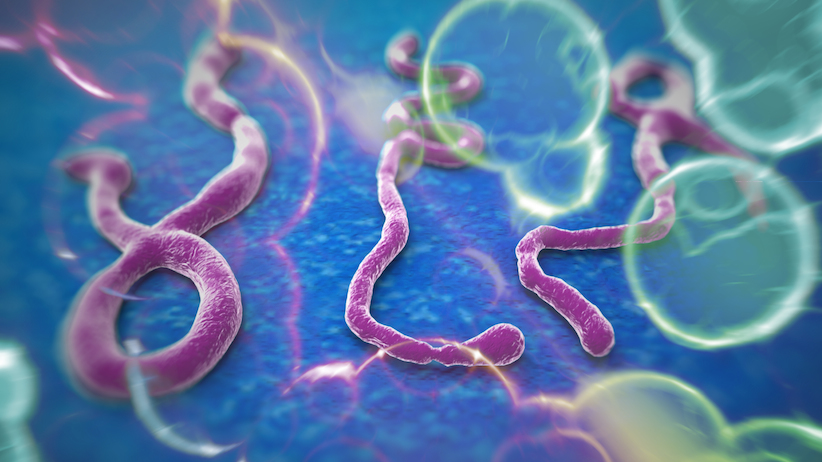 Ebola Hospital in America & Muslim Brotherhood Share A PR Agency