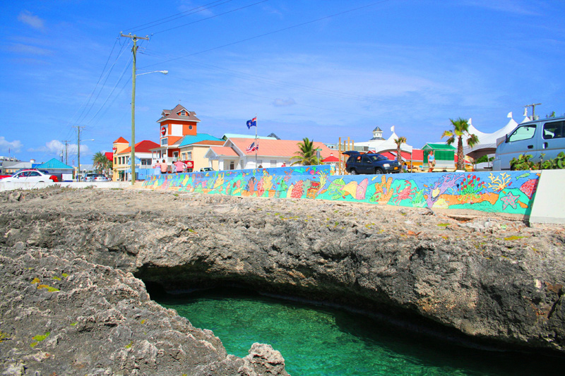 Cayman Islands Department of Tourism Agency Search 