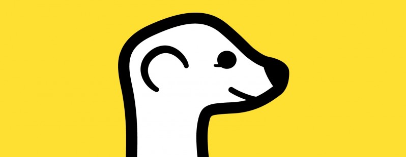 Say Hello to Meerkat