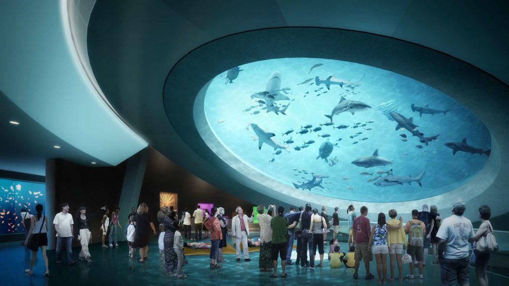 Frost Museum Of Science Seeking A PR Firm: RFP