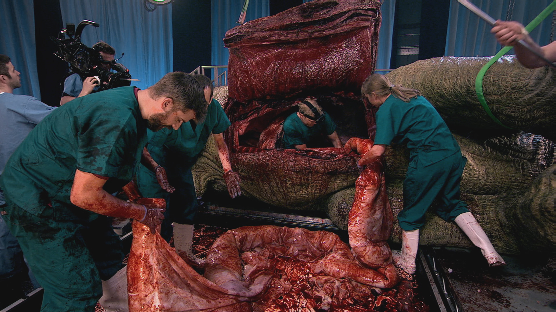 T-Rex Autopsy