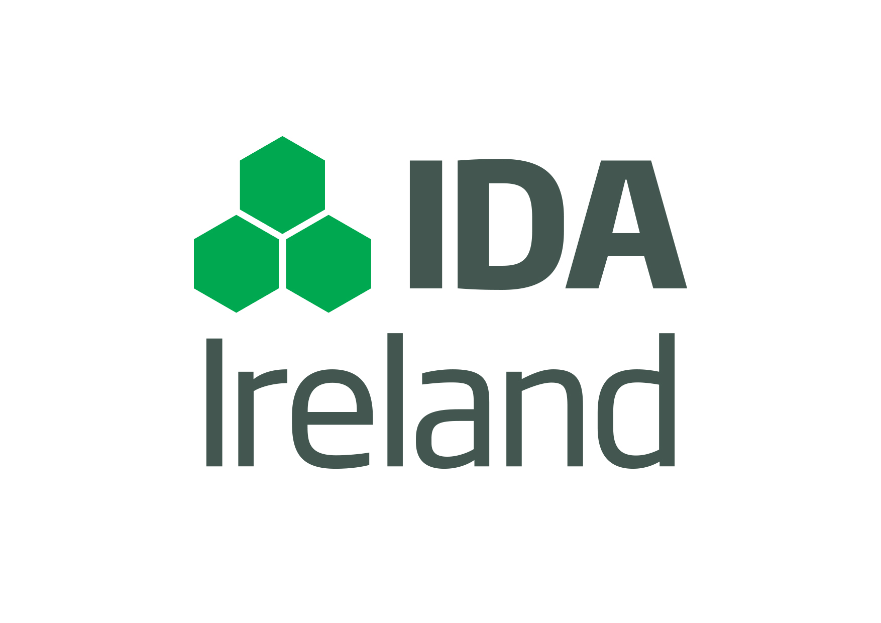 Ireland-Investment Arm Issues Call For A New Public Relations Firm
