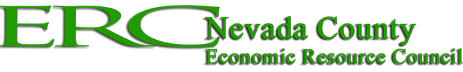 Nevada Wants A Digital Media Agency To Be Seen As Digital Media Gurus