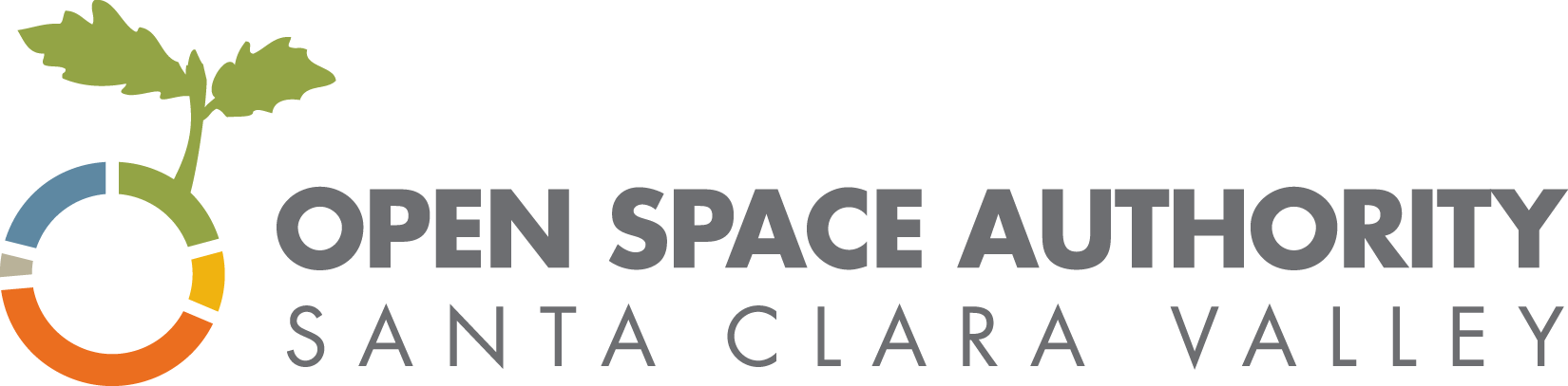 Santa Clara Valley Seeking Social Media Firm & PR Agency