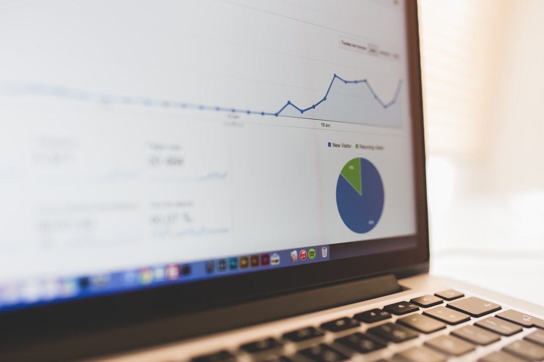 Survey SEO