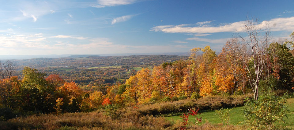 Orange County, New York Seeking Social Media Monitoring