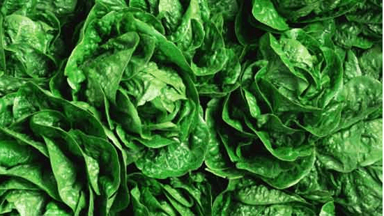 What Makes “Greens” Clean?