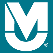 michigan virtual school