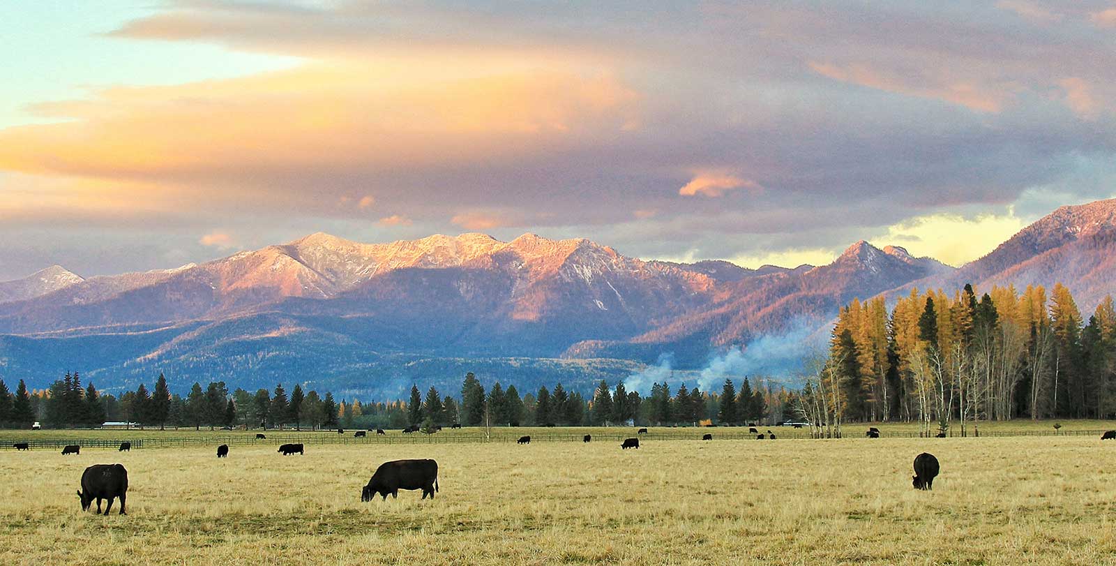 Montana Convention and Visitors Bureau Tourism PR Firm