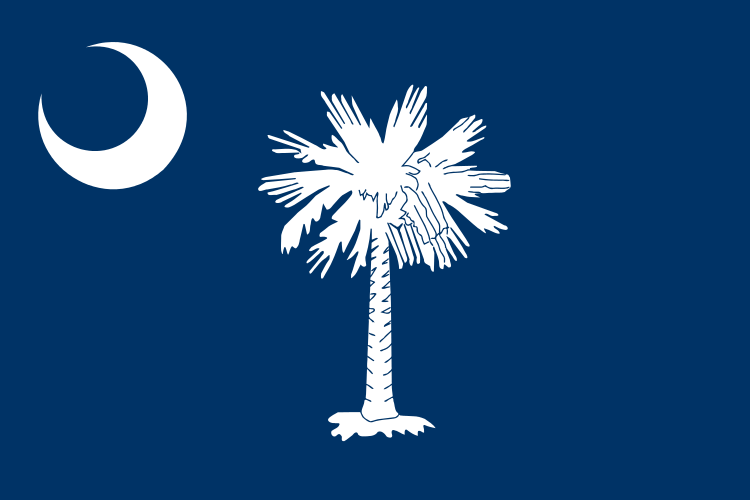 Greenville, South Carolina Needs Government Relations