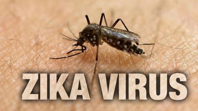 How much Public Relations is Needed For The Zika Virus?