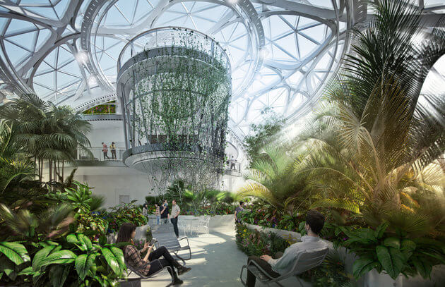 Amazon Set to Build its Own Rainforest