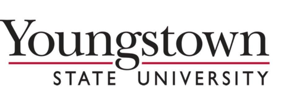 Digital Marketing RFP Issued By Youngstown State University in Ohio