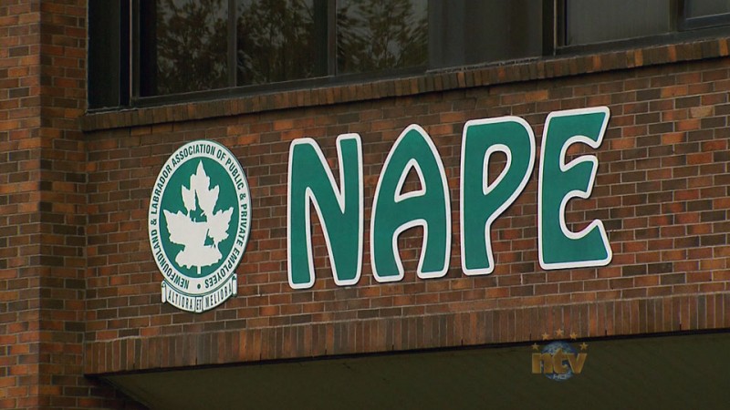Government Tells People to Tighten Budgets, NAPE Tells Government to Start with their Own