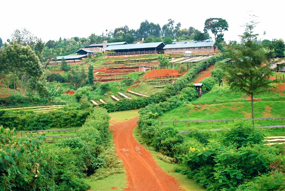 Major City in Kenya Issues RFP For Public Relations Firm & Ad Agency
