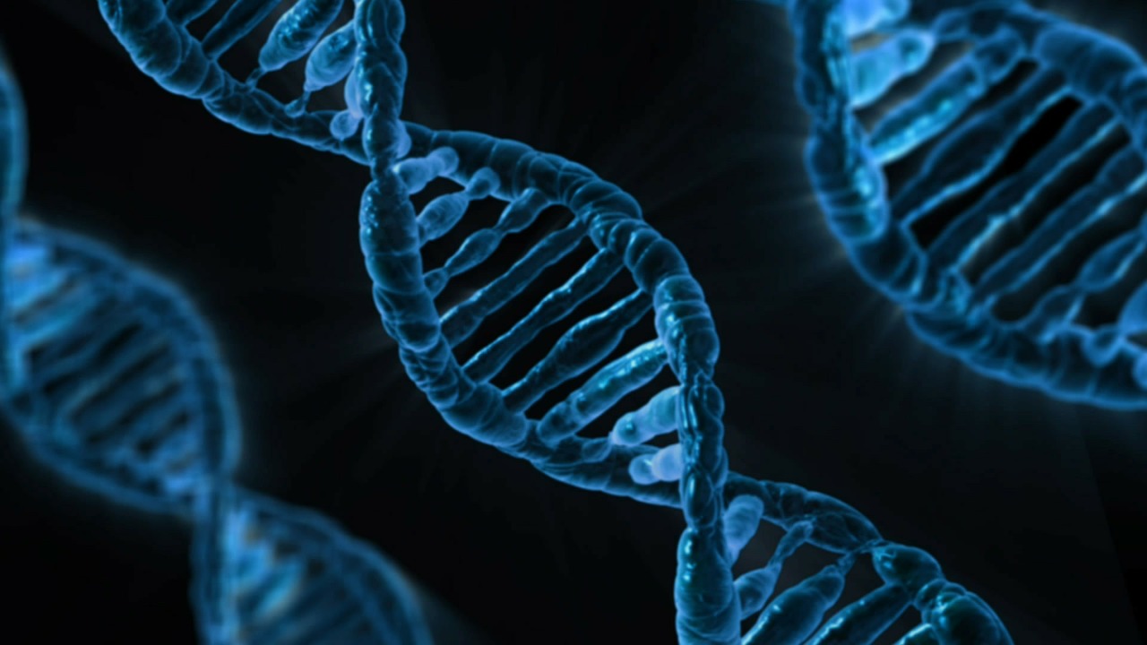 MARKETING SERVICES – BIOTECHNOLOGY WORKFORCE
