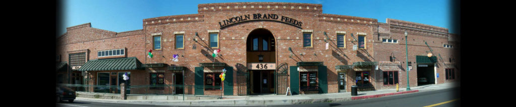 Lincoln, California Issues Video RFP