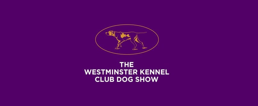The PR of Best of the Best Dog Show