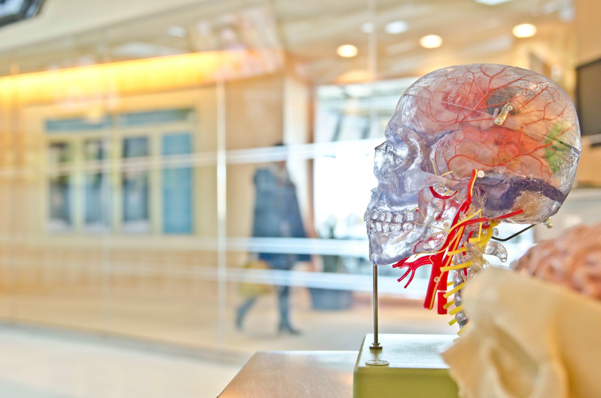 Dr. Armin Tehrany On How Doctors Are Reaching New Patients in a Digital World
