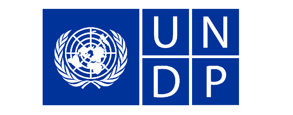 UNDP Libya Issues Media Communications RFP