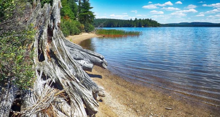 Village of Algonquin Seeks Marketing Firm