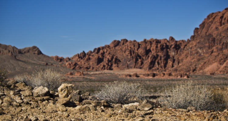 State of Nevada Issues Public Relations RFP