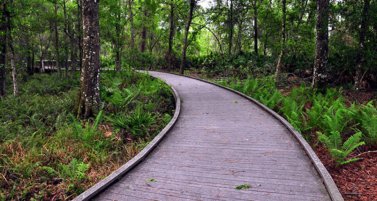 Lincoln Park Common Good Initiative Issues RFP