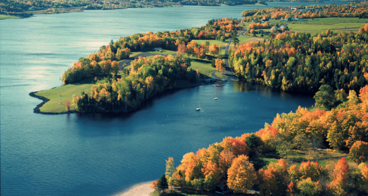 Province of New Brunswick Seeks Digital Agency