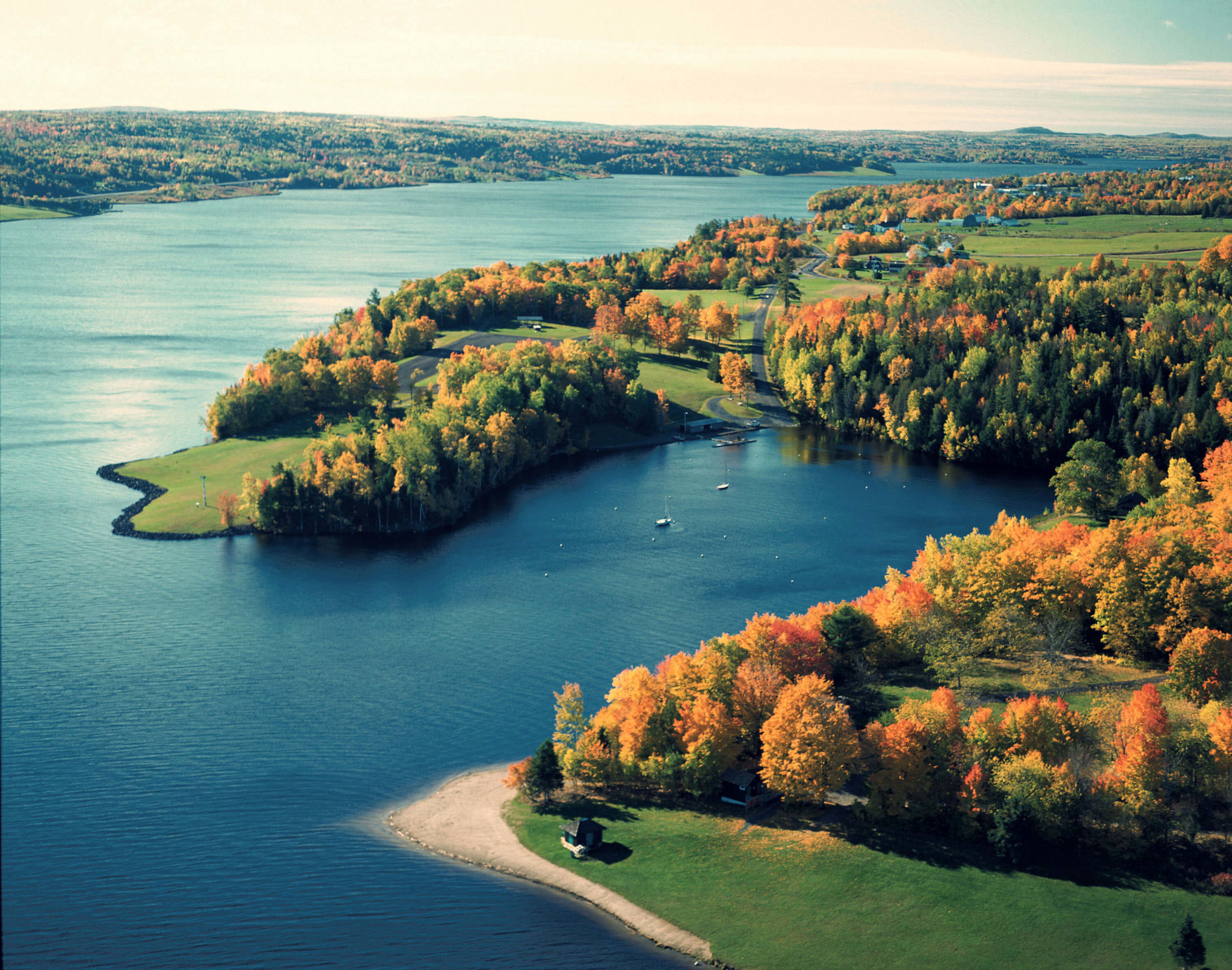 MARKETING RFP ISSUED FOR AGRICULTURE AND AGRI-FOOD CANADA