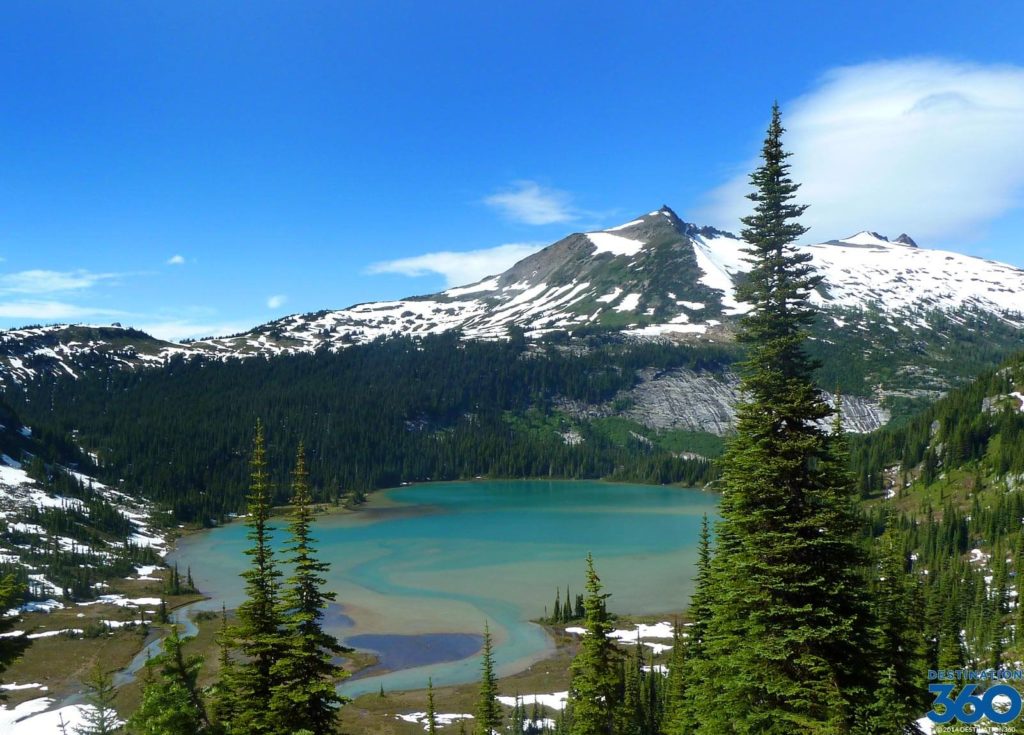 Washington State Auditor’s Office Seeks Digital Agency