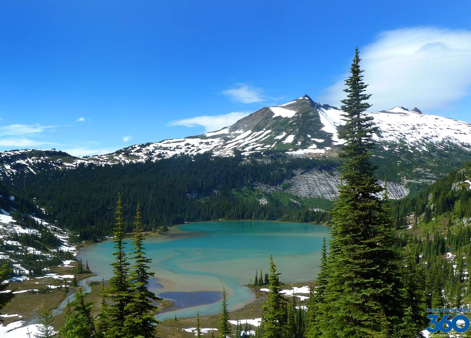 WASHINGTON STATE DEPARTMENT OF SOCIAL & HEALTH SERVICES SNAP-Ed Social Marketing Campaign