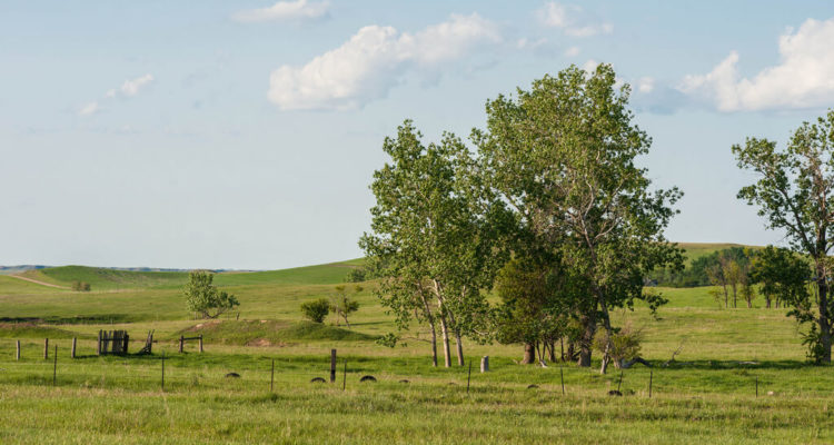 North Dakota Seeks Marketing Firm