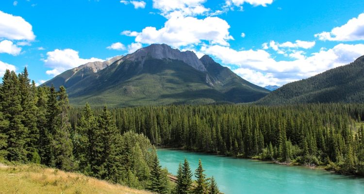 ALBERTA INVESTMENT MANAGEMENT CORPORATION SEEKS PUBLIC RELATIONS AGENCY