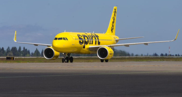 Spirit Airlines accused of forcing woman to flush hamster