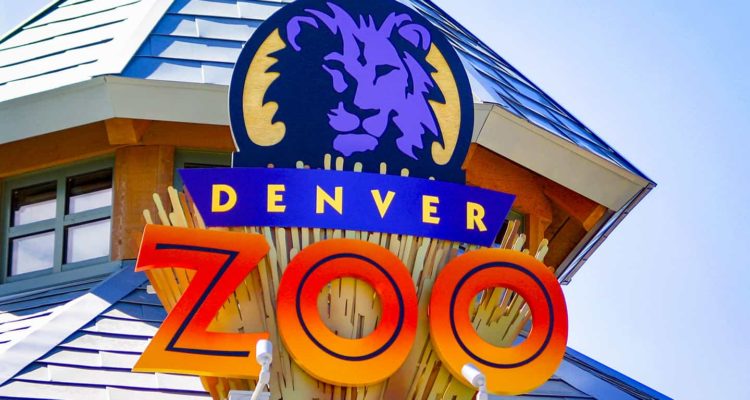 Denver Zoo Issues Website RFP
