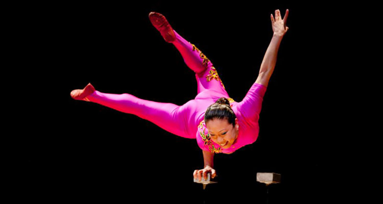 Acrobat Death Tarnishes Cirque du Soleil