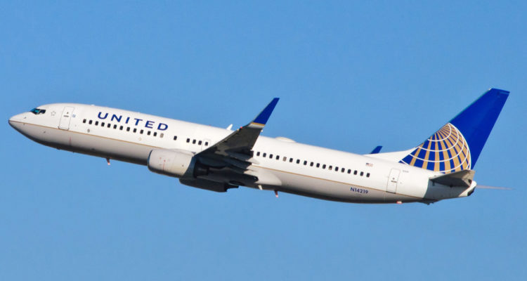 The United Airlines Puppy Disaster: How to Respond to PR Nightmares